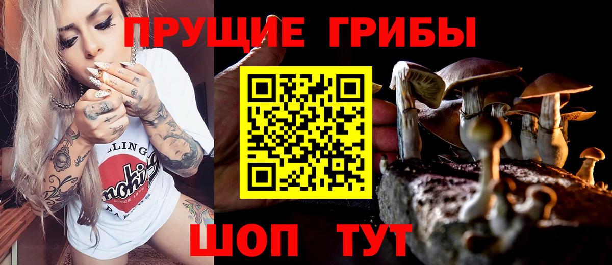 Галлюциногенные грибы Psilocybe  где найти наркотики  Когалым  Вход с VPN 